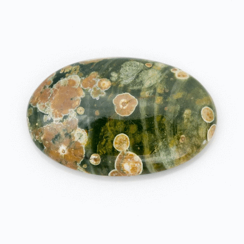 Ocean Jasper